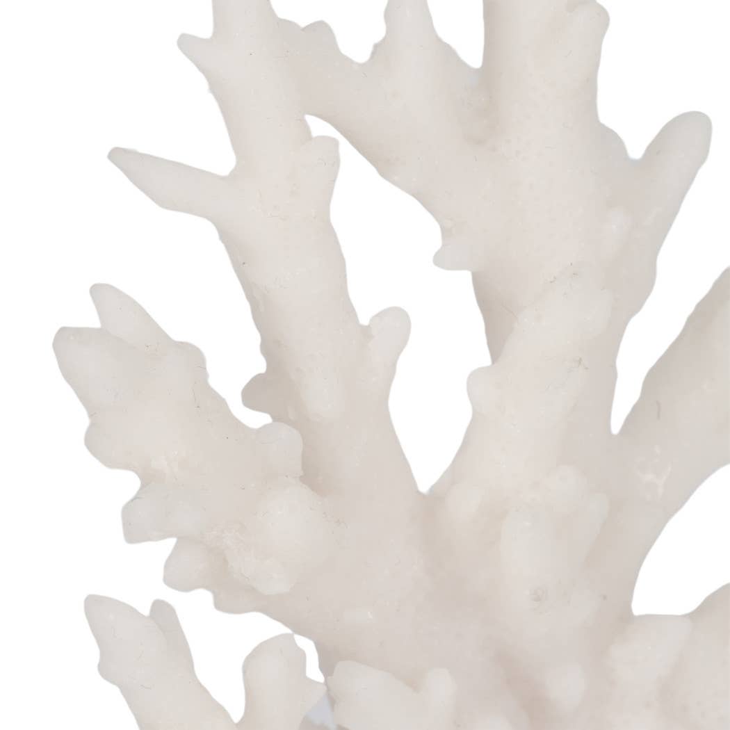 Bookends Set of 2 - White Resin Coral on Glass, 7 in.